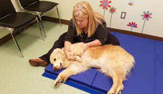 ajax-manual-therapy.jpg